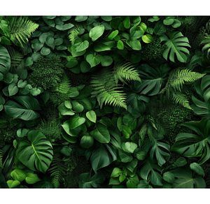 Tropical Foliage Wall