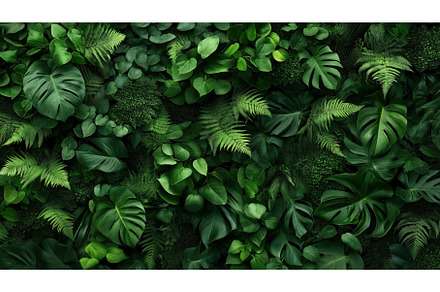 Tropical Foliage Wall