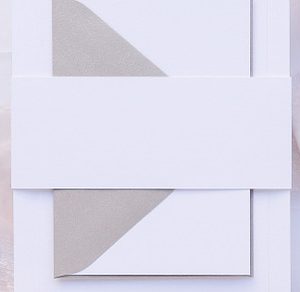 Bellyband Stationery Mockup