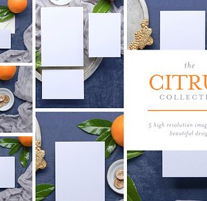 Citrus - Invite Mock Up Bundle