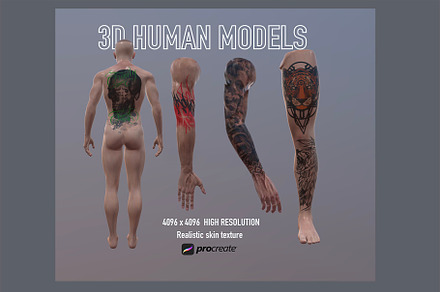 3d Male Human Parts For Procreate
