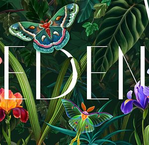 EDEN. Fresh trend!