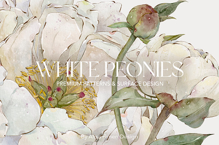 White Peonies Watercolor Collection