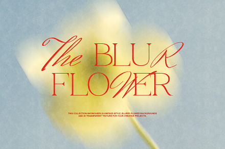The Blurry Flowers