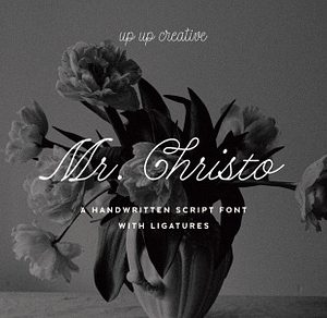 Mr Christo Calligraphy Script Font