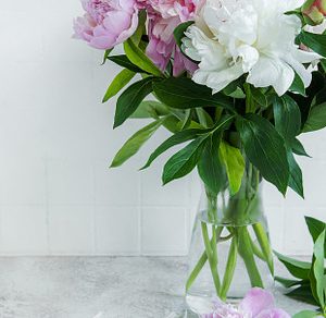 Beautiful bouquet of flowers: white and pink peonies